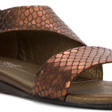 Walking Cradles Fleet Dark Copper Snake Print