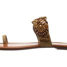 Incaltaminte Femei Jessica Simpson Razzel Honey Brown Micro Suede