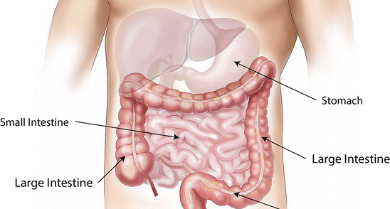 Curata-ti colonul si scapa de 10 kilograme in 3 saptamani cu acest remediu puternic!