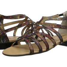 Vaneli Baxie Multi Darry Print/Match Zip