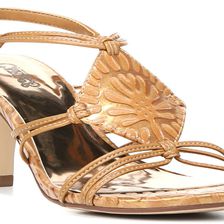 CARLOS by Carlos Santana Samba Pecan Pie