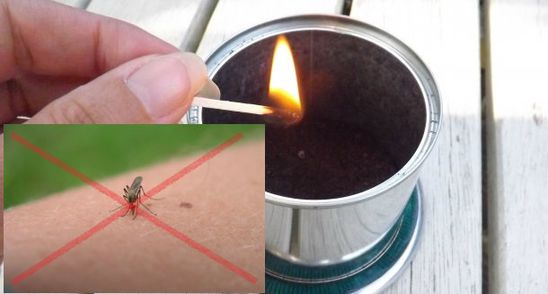 Cum sa scapi de tantari si muste cu ajutorul cafelei