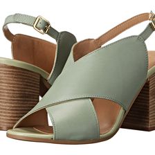 Seychelles Treasure Hunt Mint