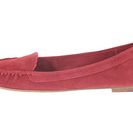 Incaltaminte Femei Dolce Vita Poppy Red Suede