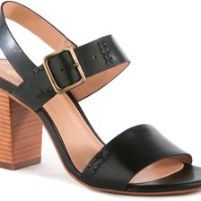 Seychelles Champion Black