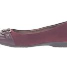 Incaltaminte Femei Aerosoles Ultrabrite Wine Fabric