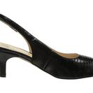 Incaltaminte Femei J Renee Classie Black