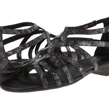 Vaneli Baxie Black Darry Print