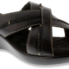 Walking Cradles Chase Black Sheep