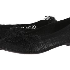 Dirty Laundry Gee Whiz Black Blossom