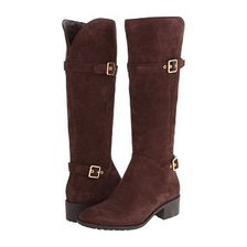 Incaltaminte Femei Cole Haan Indiana Tall Boot Waterproof Chestnut Suede