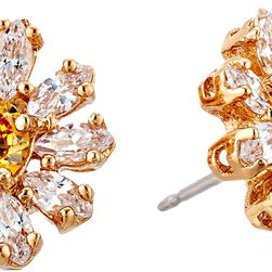 Kate Spade New York Crystal Bouquet Studs Earrings Clear/Multi