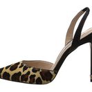 Incaltaminte Femei Steve Madden Paizle-L Leopard