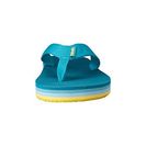 Incaltaminte Femei Teva Deckers Flip Lake Blue