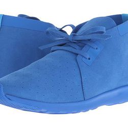 Incaltaminte Femei Native Shoes Apollo Chukka Barracuda BlueBarracuda Blue
