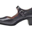 Incaltaminte Femei SoftWalk Irish Navy Kid Leather