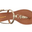 Incaltaminte Femei COACH Natasha Platinum Metallic Tumbled