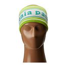 Accesorii Femei Patagonia Lined Knit Headband Park StripePeppergrass Green