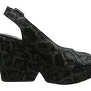 Incaltaminte Femei Robert Clergerie Dylanj Dino Calf