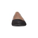 Incaltaminte Femei Calvin Klein Hyacinth Black SuedeLeather