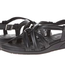 Walking Cradles Vi Black Softee