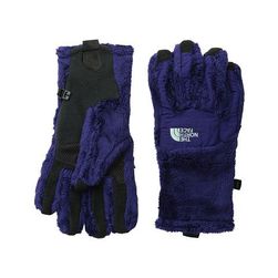 Accesorii Femei The North Face Denali Thermal Etiptrade Glove Garnet PurpleSurf Green