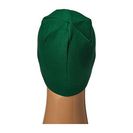 Accesorii Femei Patagonia Lined Beanie Wild PlacesHunter Green