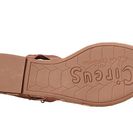 Incaltaminte Femei Sam Edelman Gavin Old Cocoa