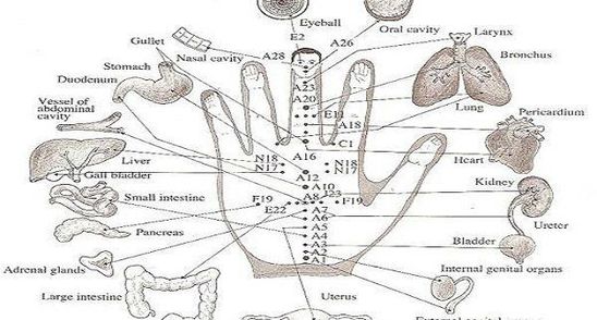 Incredibil! Fiecare deget este conectat cu doua organe! Asa te vindeci rapid in 5 minute!
