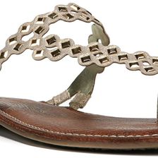 CARLOS by Carlos Santana Shelby Kork