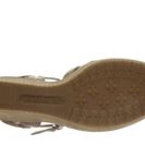 Incaltaminte Femei Timberland Danforth Woven Sandal Buckthorne Brown Journeyman