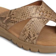 Aerosoles Adjustment Tan Snake