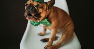 Cele trei zodii care vor avea o saptamana de vis. Merg din bine, in mai bine