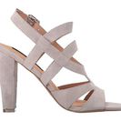 Incaltaminte Femei Steve Madden Cassndra Taupe Suede