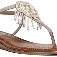 CARLOS by Carlos Santana Tonalea Doe