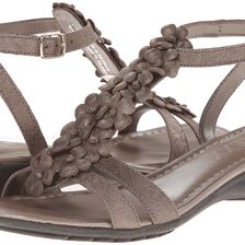 The FLEXX Gladiola Canna Di Fucile Saffio