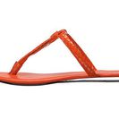 Incaltaminte Femei Calvin Klein Harla Orange Laquer Laquered Snake Print Leather