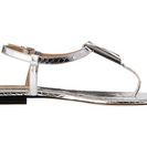 Incaltaminte Femei Michael Kors Hanne Silver Palladium Metallic Genuine Snake