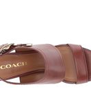 Incaltaminte Femei COACH Betsy Dark Saddle Semi Matte Calf