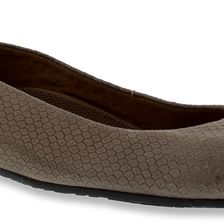 Walking Cradles Blue Bronze Metallic Snake Print