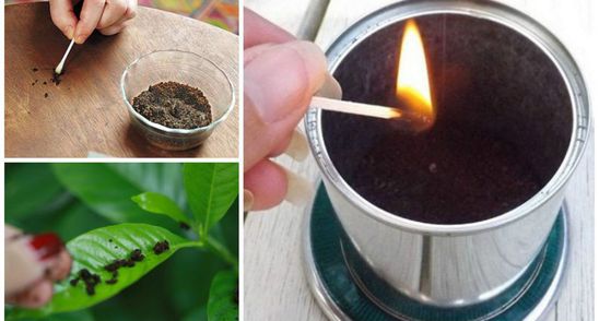 Incredibil! A dat foc la zatul de cafea! Uite ce lucru uimitor s-a intamplat dupa!