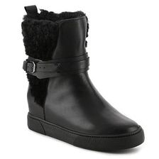 Incaltaminte Femei Blondo Nori Wedge Bootie Black