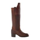 Incaltaminte Femei Frye Autumn Shield Tall Redwood Oiled Suede