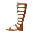 Incaltaminte Femei Chinese Laundry Galactic Cocoa Brown Micro Suede