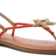 Mojo Moxy Splash Orange