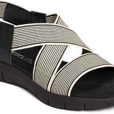 Aerosoles Wipgloss Black Stripe