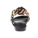 Incaltaminte Femei Pierre Balmain 6M5A22 80712 V001 Zebra