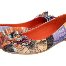 CL By Laundry Go Ahead Rainbow