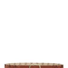 Accesorii Femei Steve Madden Braided Faux Leather Jean Belt COGNAC