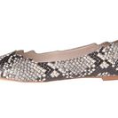Incaltaminte Femei Sam Edelman Augusta Putty Shiny Burmese Python Print